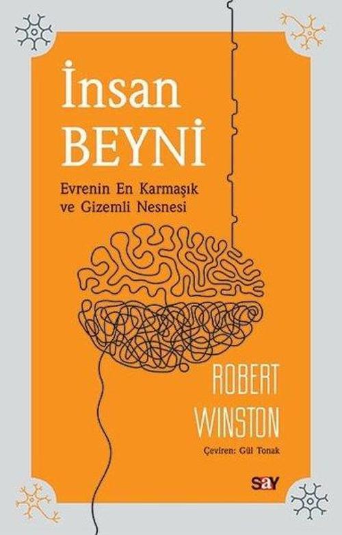 İnsan Beyni - Evrenin En Karmaşık ve Gizemli Nesnesi