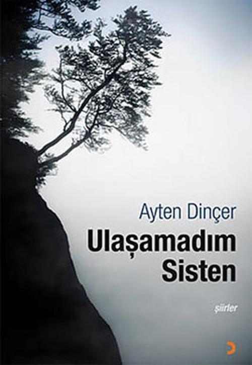 Ulaşamadım Sisten