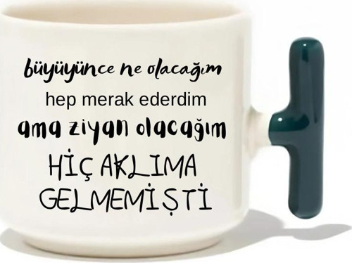 Büyüyünce Ne Olacağım Hep Merak Ederdim Ama Ziyan Olacağım Hiç Aklıma Gelmemişti