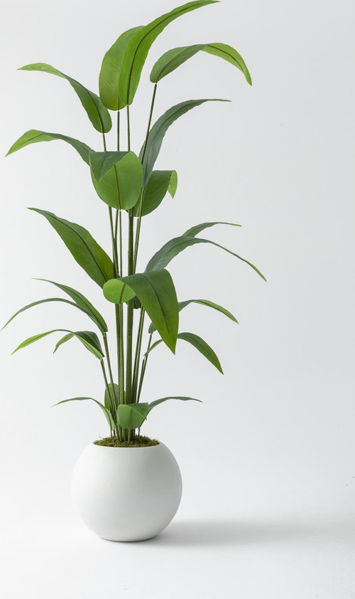 Yapay Starliçe Ağacı 200 Cm Fiber Saksılı