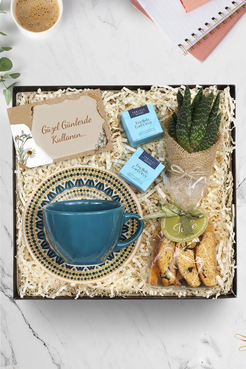Lacivert Çay Ve Kahve Fincanı & Canlı Sukulent Çiçek & 2'Li Bitki Çayı & Kurabiye Seti