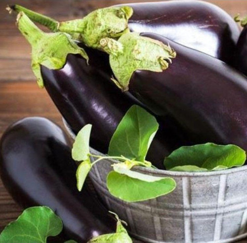 Ata Tohumları Geleneksel Kebablık Mangallık Antep Balcan Patlıcan Tohumu (70 tohum)
