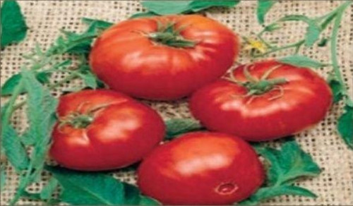 Doğal Brandywine Red Domates Tohumu(20 adet)