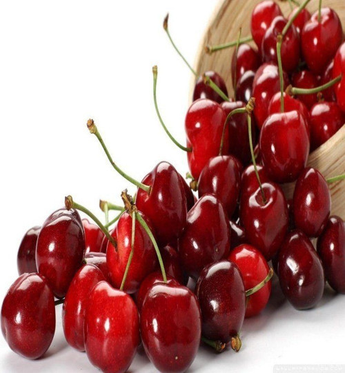 Kütahya Vişne Tohumu (5 adet)