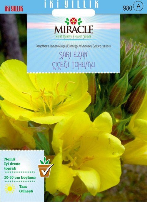 Miracle Ezan Çiçeği Tohumu(480 tohum)