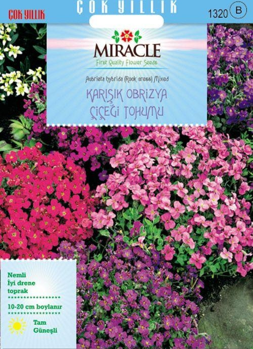 Miracle Rock Cress Aubrieta Karışık Renkli Obrizya Çiçeği Tohumu (100 tohum)
