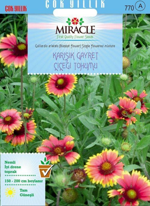Miracle Karışık Gayret Çiçeği (Giallardia Mix) Tohumu (190 tohum)
