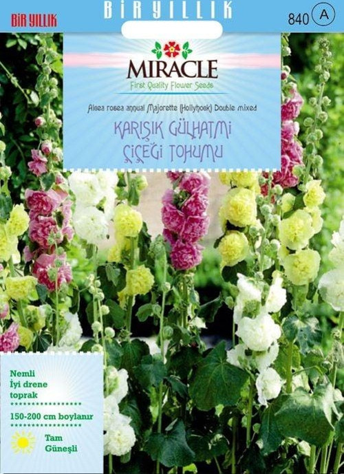 Miracle Karışık Renkli Katmerli Gül Hatmi Çiçeği Tohumu (40 tohum)