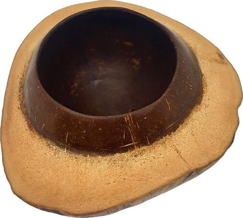 Coconut Hindistan Cevizi Kase Kabuklu Coconat Kase