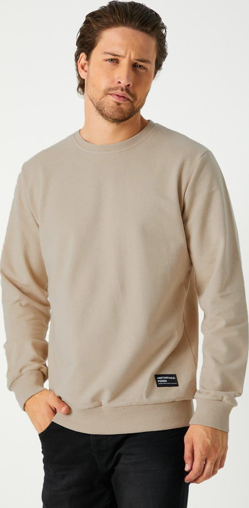 Erkek Bej Basic Bisiklet Yaka Regular Fit Normal Kesim 2 İplik Sweatshirt