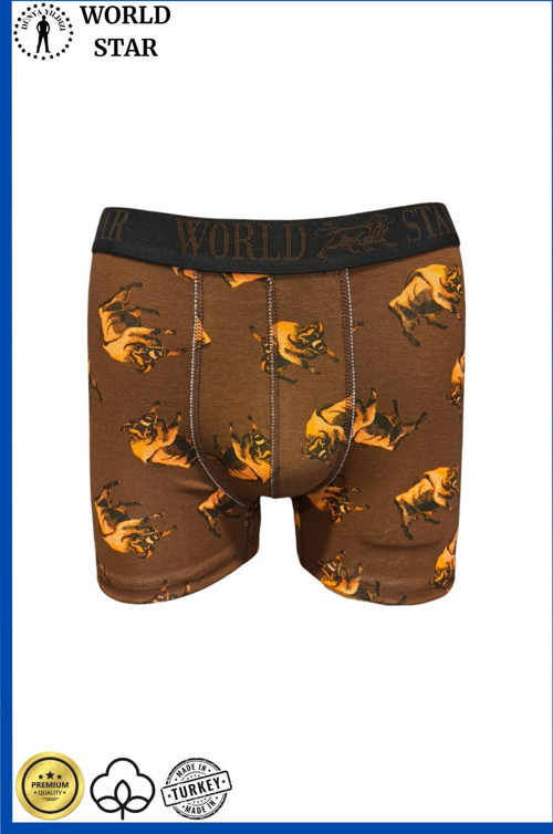 Likralı Pamuklu Renkli Erkek Boxer