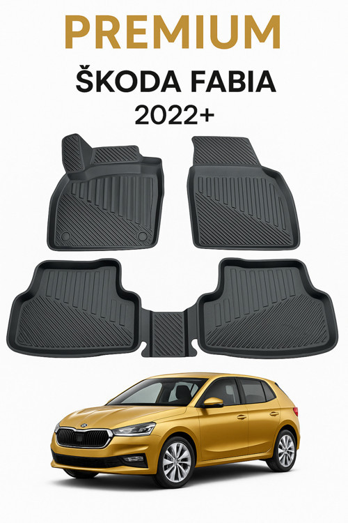 Skoda Fabia 2022+ Uyumlu 3D Oto Paspas Premium