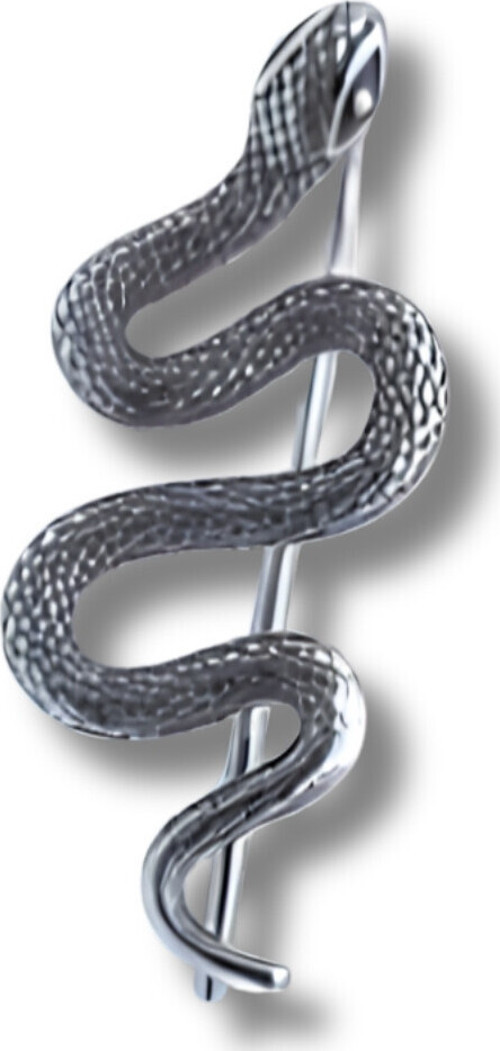 Tekli Snake Küpe