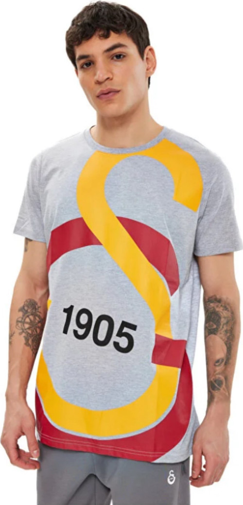 Gs Tsrt 124 E88153Galatasaray Büyük Logolu Tee Gri T-shirt