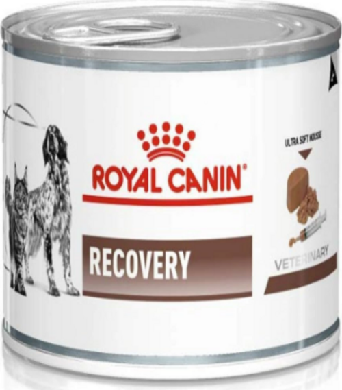Royal Canin Recovery 195 Gr 6 Adet - Ameliyat Sonrası Ve İştahsızlık Dönemi Destek Maması