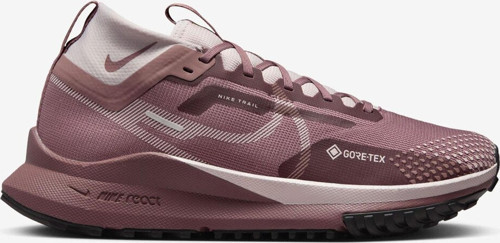 Pegasus Trail 4 GORE-TEX Kadın Ayakkabı