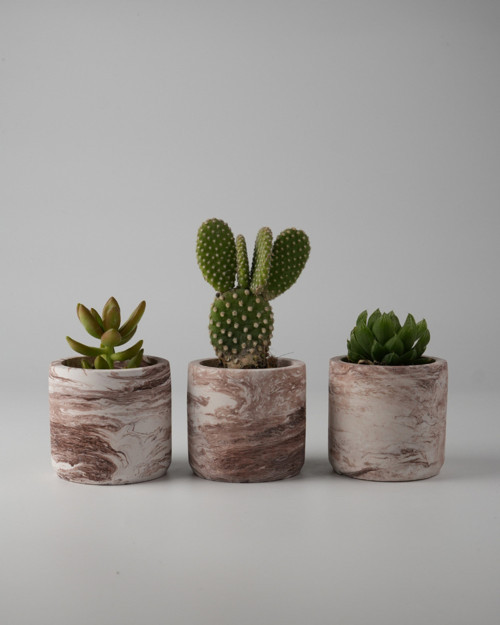 Üçlü Dekoratif Beton Saksı - Mini Sukulent - Kaktüs ve Sukulent Bitkileri için 7x7cm Beton Renkli Saksı