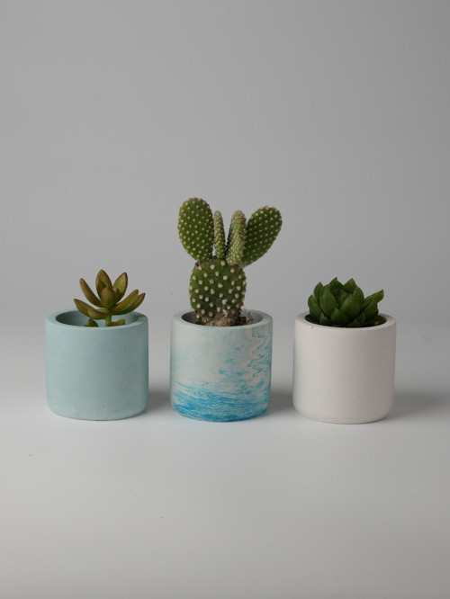 Dekoratif Beton Saksı-3'lü Mini Sukulent Kaktüs ve Sukulent Bitkileri için 7x7cm Beton Renkli Saksı