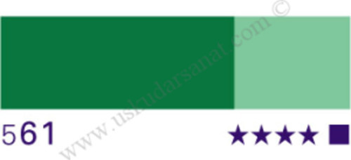 HKS Designers Guaj Boya Tüp 20ml 561 fir green