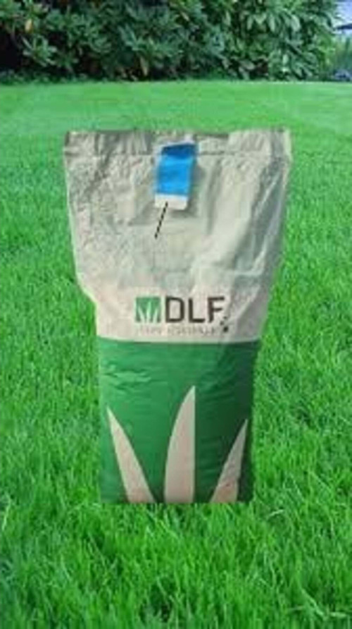 Lollium Perenne Çim Tohumu 1Kg