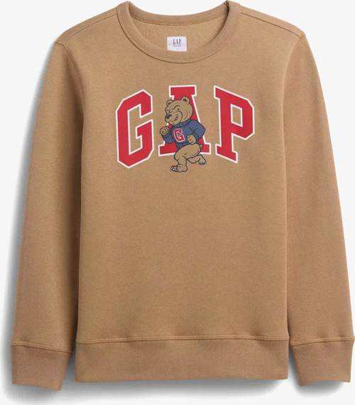 V-Fa Logo Crew Çocuk Kahverengi Sweatshirt