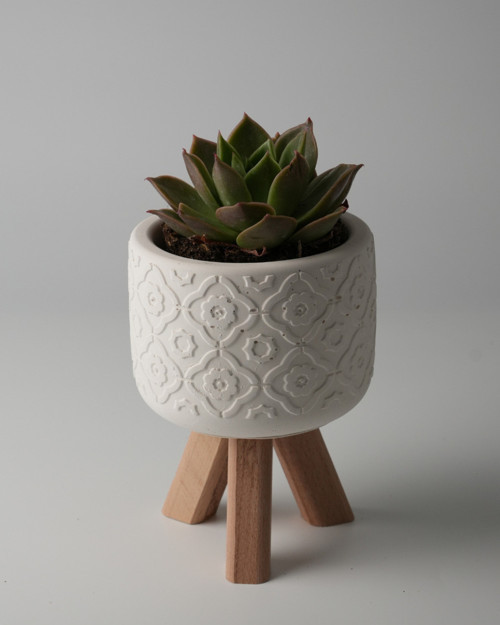 Dekoratif Beton Saksı - Otantik Çiçek - Beyaz