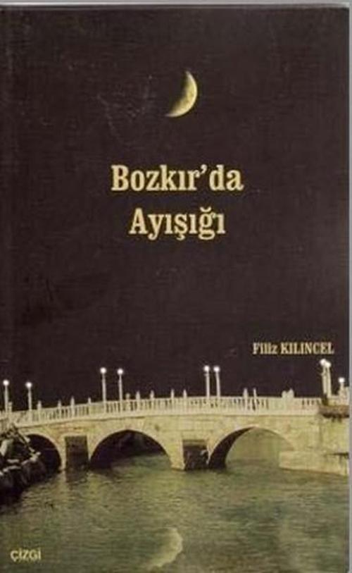 Bozkır'da Ayışığı