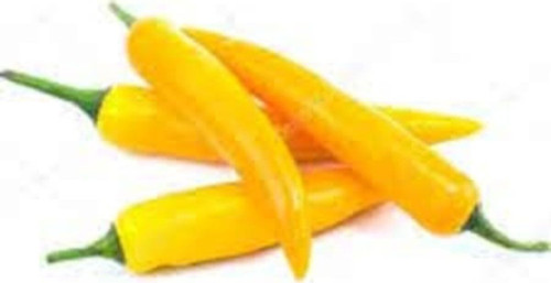 Golden Acı Cayenne Biber Tohumu Golden Biber Tohumu 20 Adet Tohum
