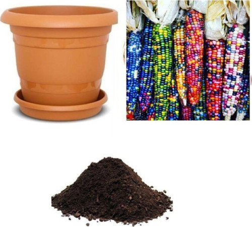 Hint Mısırı Tohumu Ekim Seti