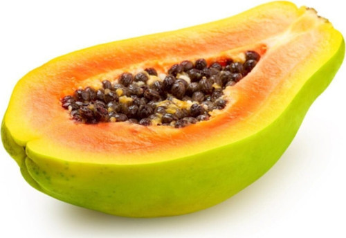 Papaya Ağacı Tohumu Ithal Tropikal Papaya Ağacı Tohumu Ekim Seti 3 Adet Tohum + Saksı + Toprak