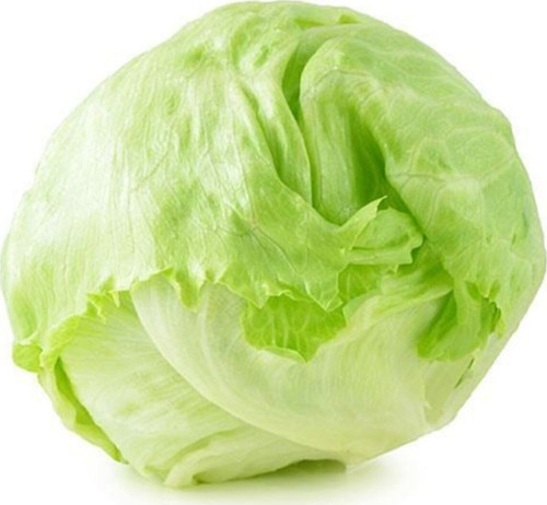 Göbekli Iceberk Marul Tohumu 100 Adet Tohum Iceberg