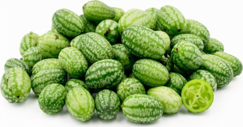 Nadir İthal Mini Saksı Kavunu Tohumu 5 Adet Tohum Kavun Tohumu