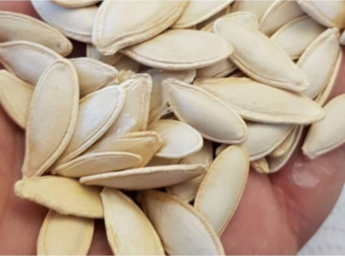 Süper Paket Kabak Çekirdeği Tohumu Çekirdeklik Nevşehir Kabak Çekirdeği Tohumu 150 Adet Tohum