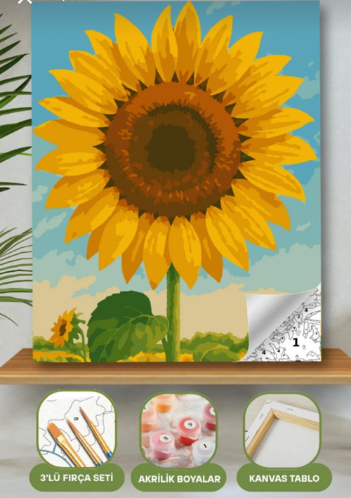 Sayılarla Boyama Seti 40X50 Cm (Çıtalı) Fırça Boya Dahil Numaralı Tuval Ay Çiçeği