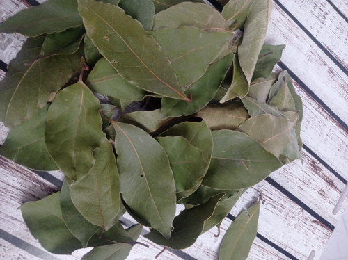 DEFNE YAPRAĞI ( Kurutulmuş) 45 GR