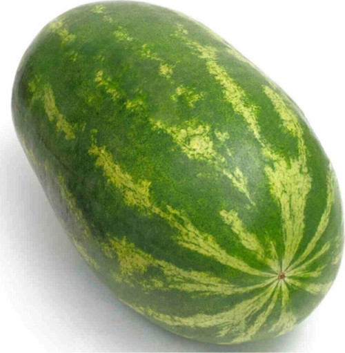 Meşhur Diyarbakır Karpuzu Tohumu 5 Adet Tohum Karpuz Tohumu