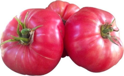 Nadir İri Pembe Domates Tohumu 10 Adet Tohum Bulgar Domatesi