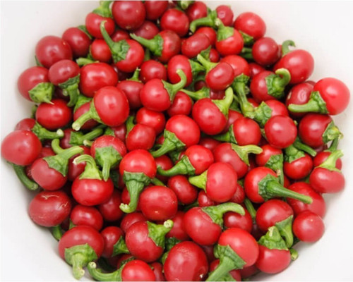 Nadir Ithal Acı Cherry Kiraz Biberi Tohumu 10 Adet Tohum Biber Tohumu