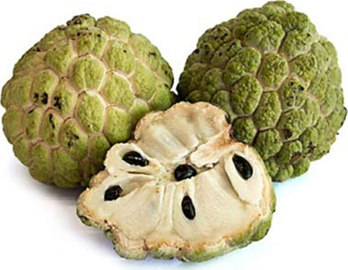 Tropikal Sugar Apple Meyvesi Tohumu 3 Adet Tohum Şeker Elma