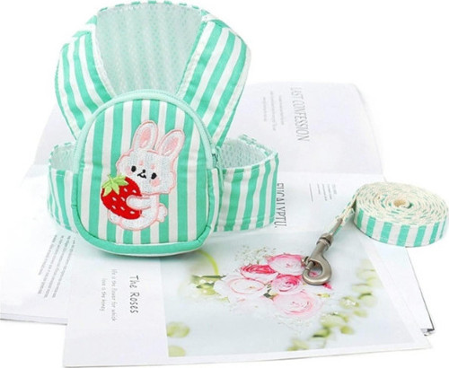 Evcil Hayvan Çantalı Göğüs Gezdirme Tasması Seti