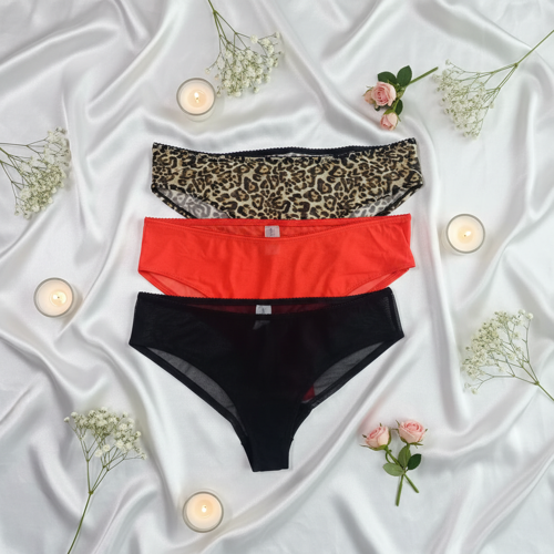 Kadın 3 lü Desenli Külot Set BB2147