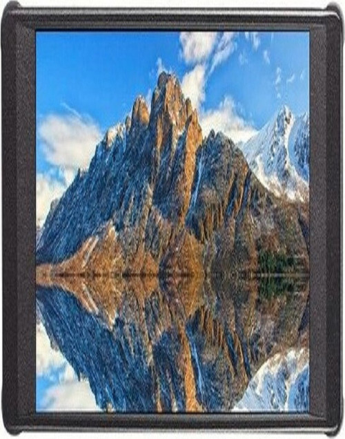 PT6 5.2 INCH MONITOR