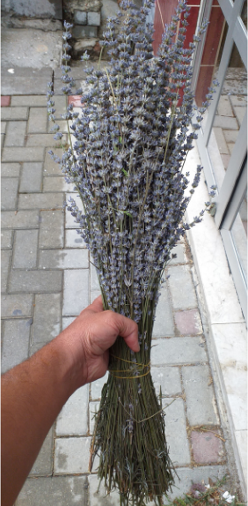 Lavanta Demeti - Buketi Kurutulmuş Şoklanmamış % 100 Doğal katkısız Gerçek Lavanta 40 Cm