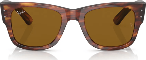 RB0840S 954/33 51 Unisex Güneş Gözlüğü