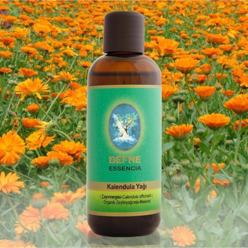 Kalendula Aynısefa Yağı 100 Ml