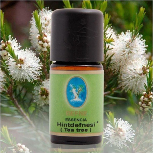Nu-ka Defne Essencia Hint Defnesi Yağı 10ml (ORGANİK)