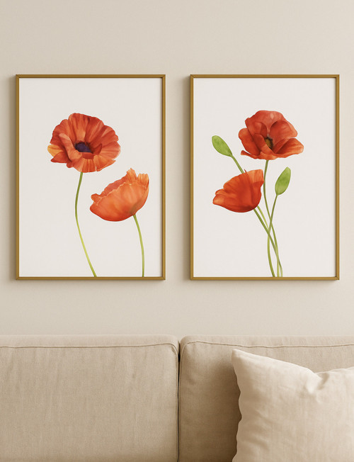 Gelincik Abstract Çiçek - Gerçek Cama Baskı Gold Alüminyum Metal Çerçeveli 2'li Modern Tablo