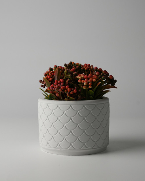 Dekoratif Beton Saksı - Balık Pulu 8x10 0.25L Küçük Boy Saksı