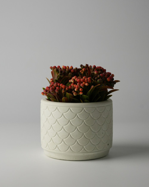 Dekoratif Beton Saksı - Balık Pulu 8x10 0.25L Küçük Boy Saksı