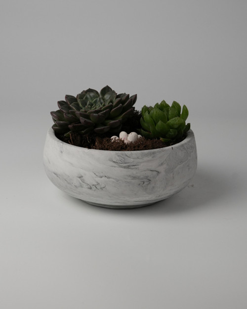 Dekoratif Beton Kase Saksı Mermer Desenli 21,5 x 9,5 3L /14X6.5 1.5L (Desenler değişiklik gösterir.)